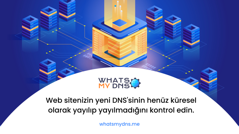 D nya ap nda DNS Yay l m n Kontrol Edin WhatsMyDNS